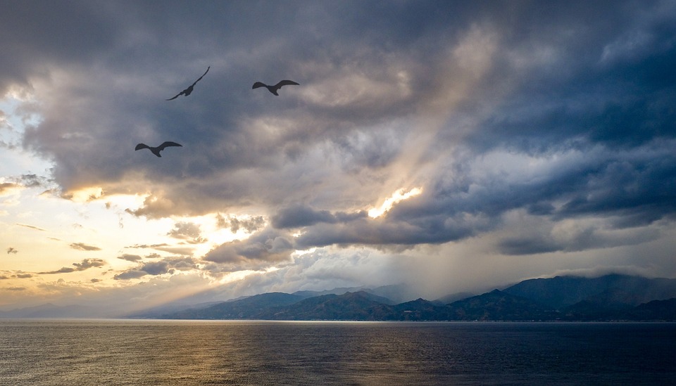 Cisal stretto di messina